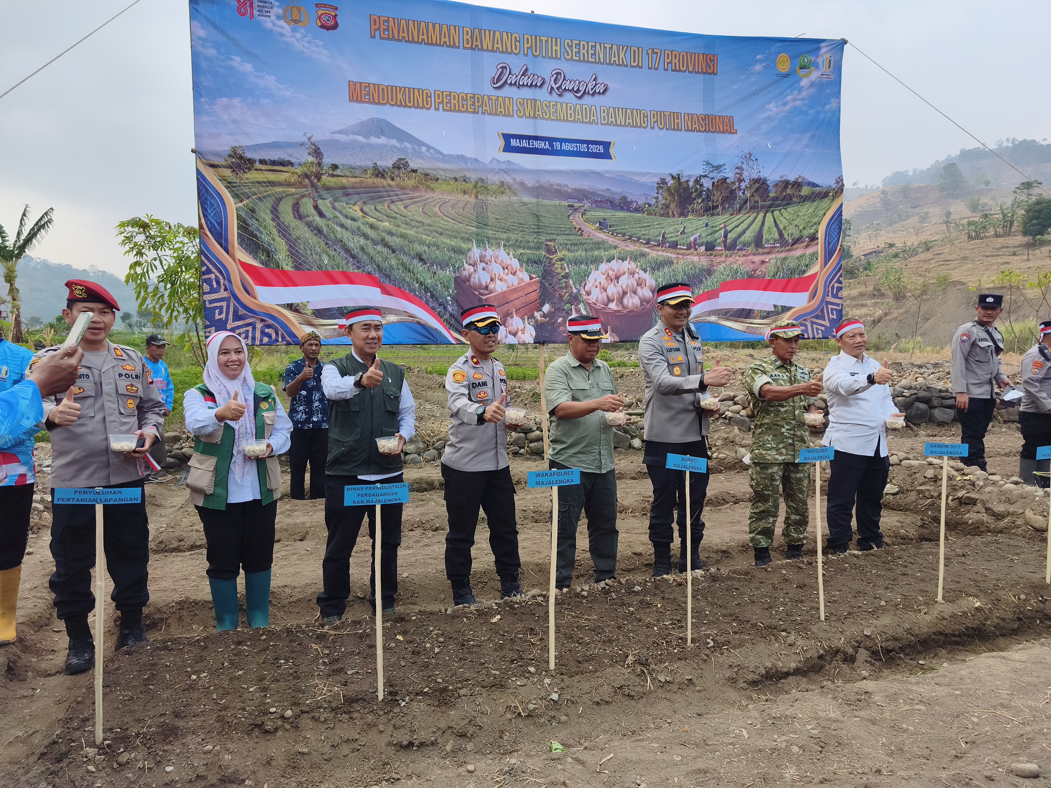 Majalengka Perkuat Pengembangan Bawang Putih, Demplot Kementan Disiapkan di Nunuk dan Kancana