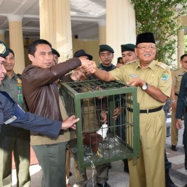 Bupati Majalengka Serahkan 15 Ekor Satwa Dilindungi Milik Masyarakat Kepada Kementerian Lingkungan Hidup dan Kehutanan