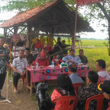 Wakil Bupati Hadiri Panen Raya Padi di Desa Mandapa