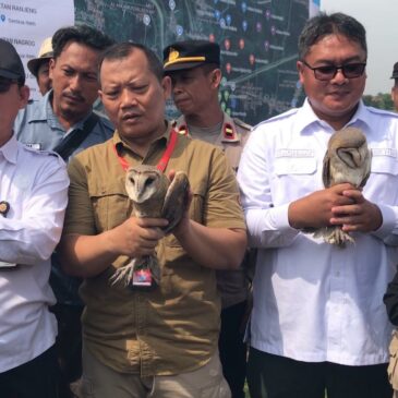 Kementerian Pertanian Serahkan 1.000 Burung Hantu untuk Mengatasi Hama Tikus di Kabupaten Majalengka