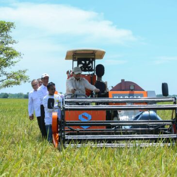 Ketersediaan Pupuk Subsidi Musim Tanam II Dipastikan Aman, Petani Diimbau Percepat Tanam